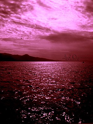 purple sky