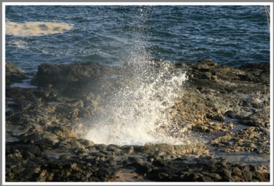 COASTAL BLOW-HOLE  HAWAII