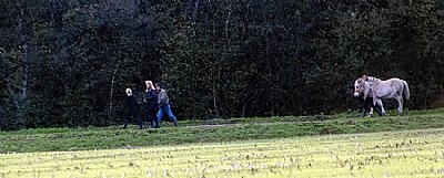 walking the horse 2