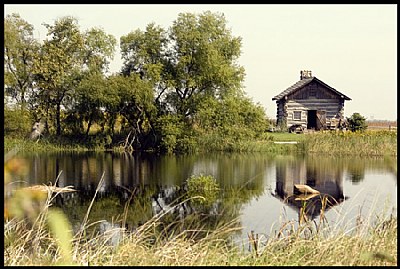 Cabin by the Pond