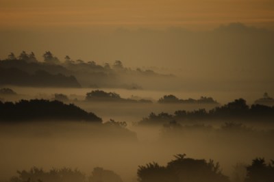 misty morning 3