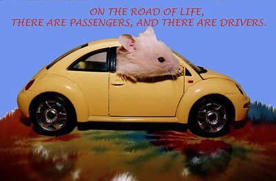 On the road of life