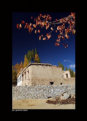 ooof ladakh