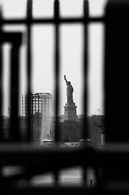 Caged Freedom