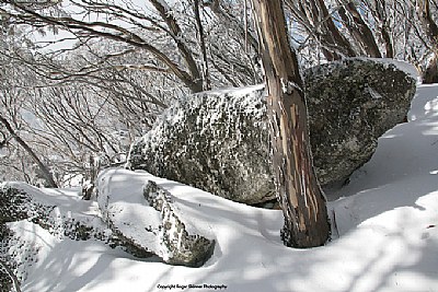 Stranded Rock II