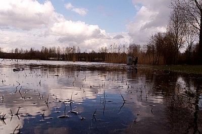 wetlands