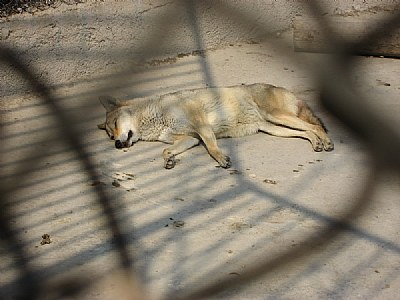 Unconscious
