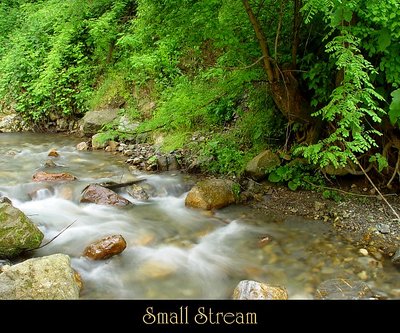 Small Stream