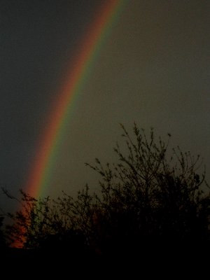 Just a grainbow.......