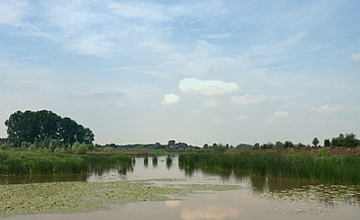 wetlands