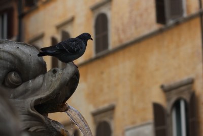 At the fountain