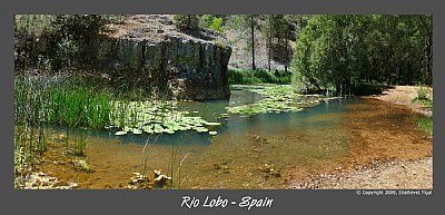 Rio lobo - Spain