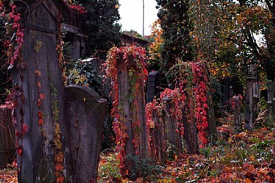 fallen grave