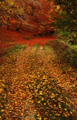 autumn time_08