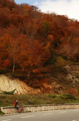 autumn time_10