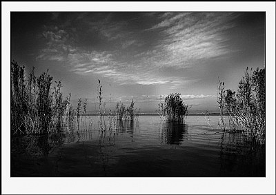 Lake Albufera (Valencia)