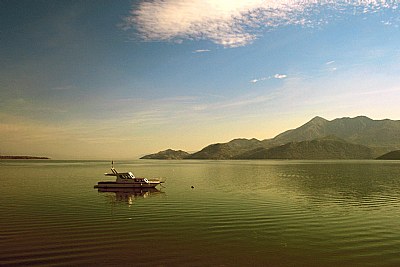 The Boat