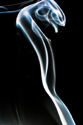 The Cobra
