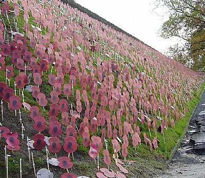 In Flanders Field