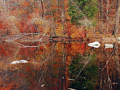 November Shore