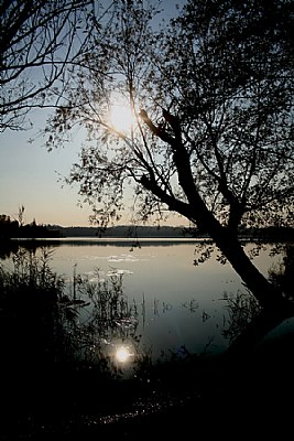 Lake reflections