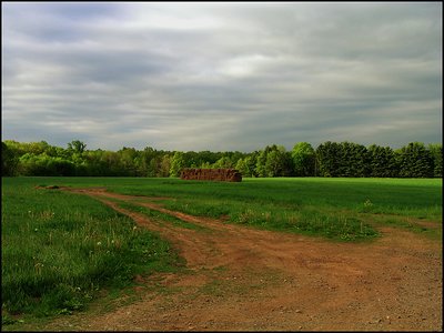 Road to the Hay