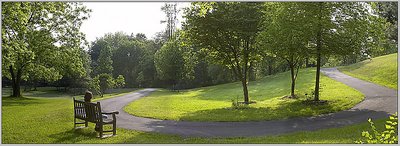 park.bench