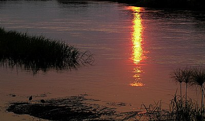 Okavangodelta Sunset