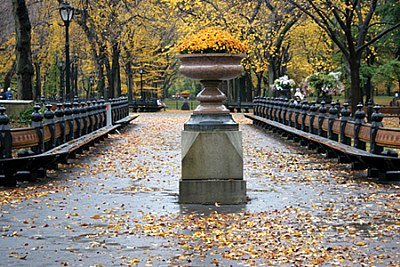 Central Park, NY