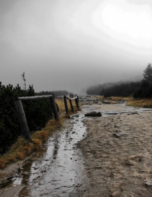 fog in the mountain...