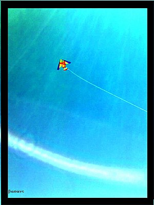 kite in the blue sky