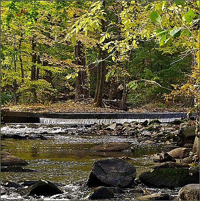 Autumn Brook