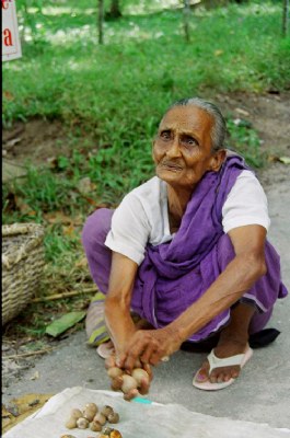 Old woman selling fruits at Havelock Island