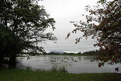 Habarana Lake