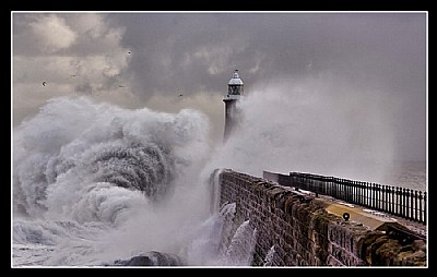 Tynemouth on Saturday