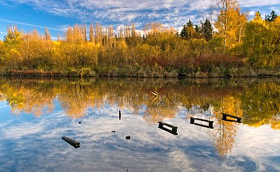 Balanced Reflection