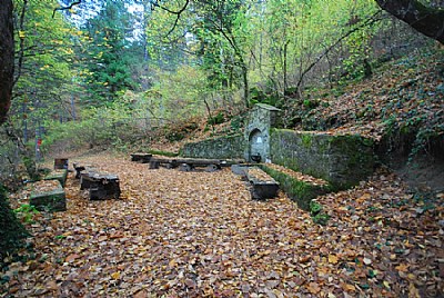 spring in autumn