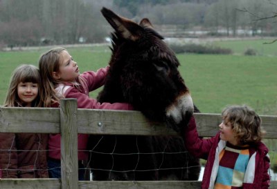 The children and the donkey