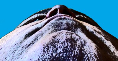 Mount Steven