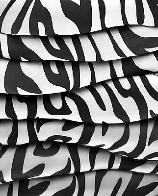 Zebra Abstract