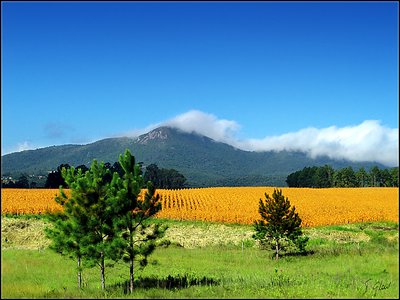 Brasil Rural