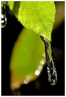 Freezing rain