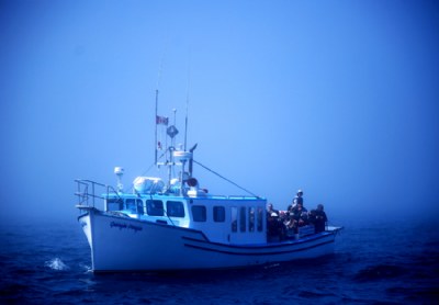 Whale Watch Boat