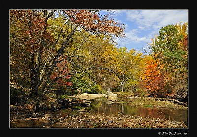 Autumn in Pennypack (2877)