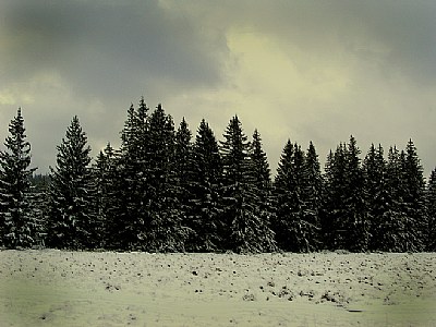 in winter