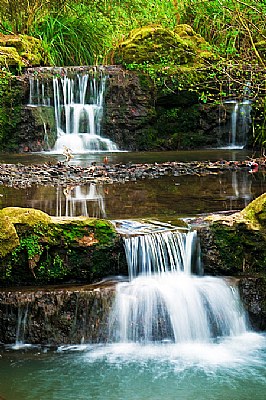 Water Fall