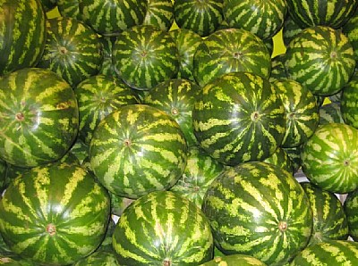 Watermelons & Yaldaa