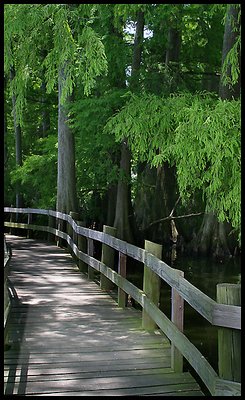 BoardWalk