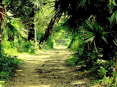 a road in combodgia