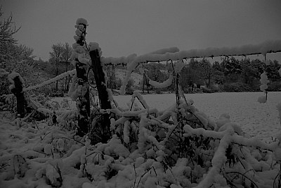 first snow